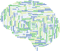 Brain Research Memory Image By Gordon Johnson From Pixabay 613f4b85e15d4 Brain Research Memory Image By Gordon Johnson From Pixabay 613f4b85e15d4