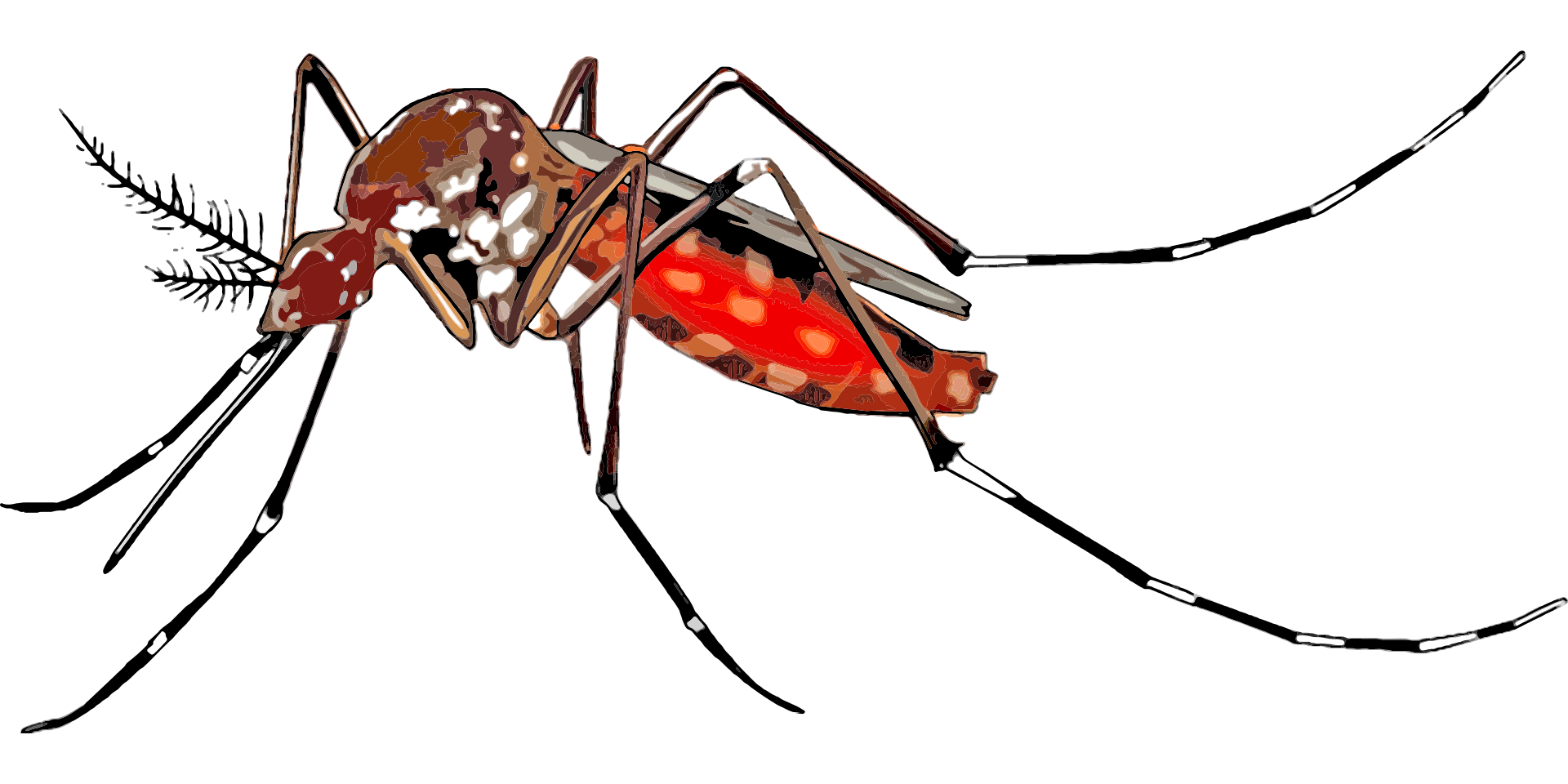 Cartoon 2023316 613a15326cdbb