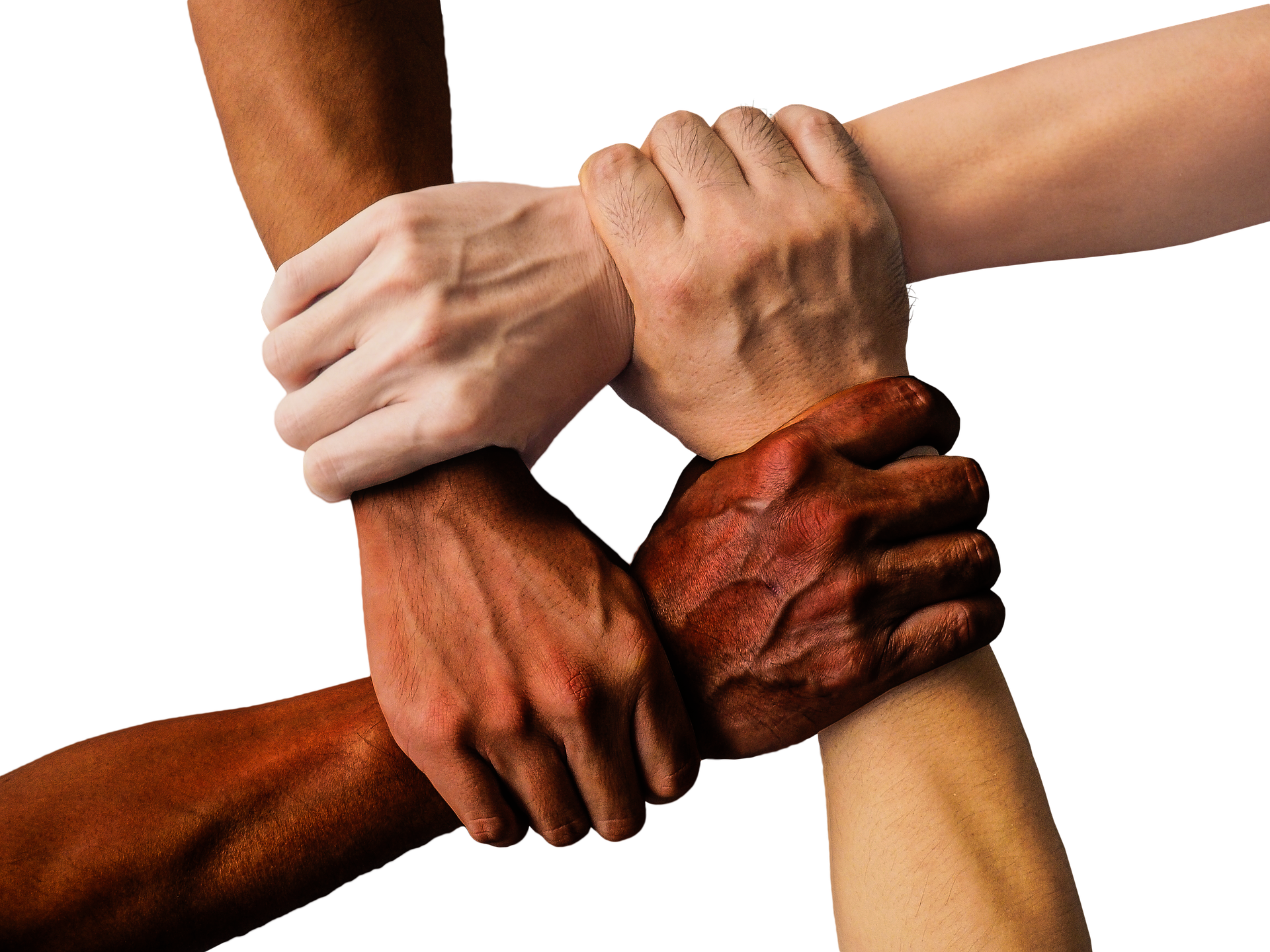 Diversity Hands Image By Truthseeker08 From Pixabay 613f47923d17a