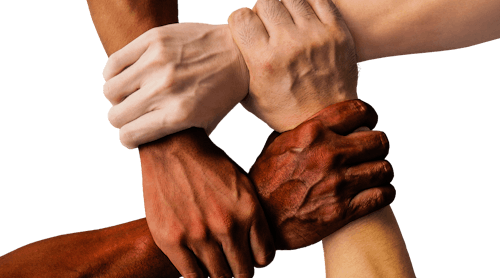 Diversity Hands Image By Truthseeker08 From Pixabay