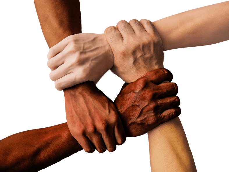 Diversity Hands Image By Truthseeker08 From Pixabay