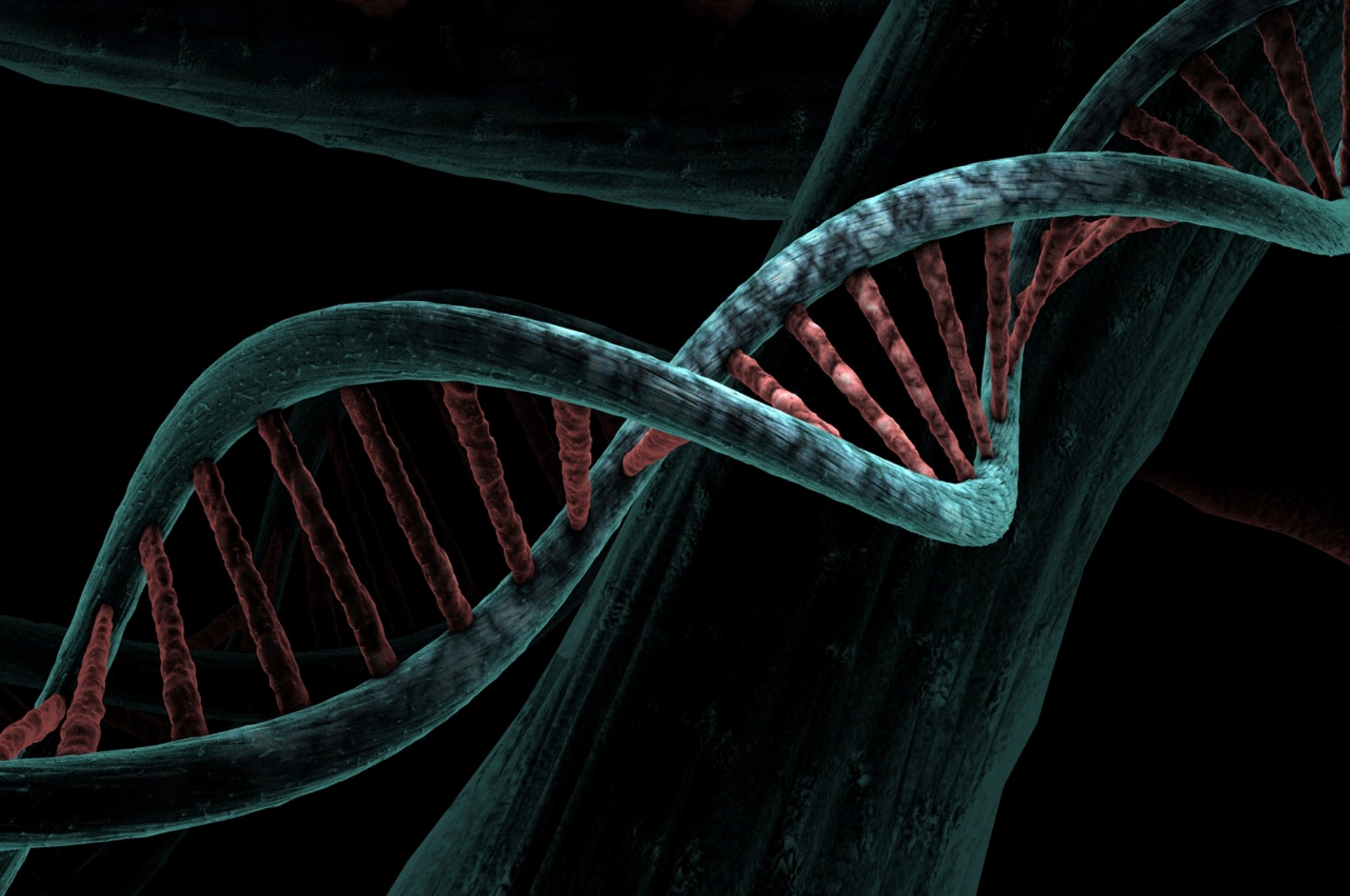 Dna 6517209 1920 6155b8bf88e07