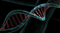 Dna 6517209 1920