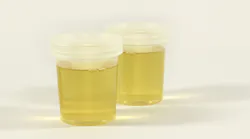 Test 1006795 1920