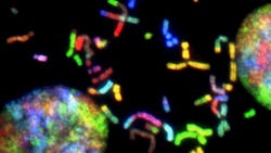 Brain Cancer Photo By National Cancer Institute On Unsplash 616ec73b9f7d0 Brain Cancer Photo By National Cancer Institute On Unsplash 616ec73b9f7d0