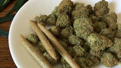 Cannabis 1418332 1920 Image By Chuck Herrera From Pixabay 615eee9310328 Cannabis 1418332 1920 Image By Chuck Herrera From Pixabay 615eee9310328