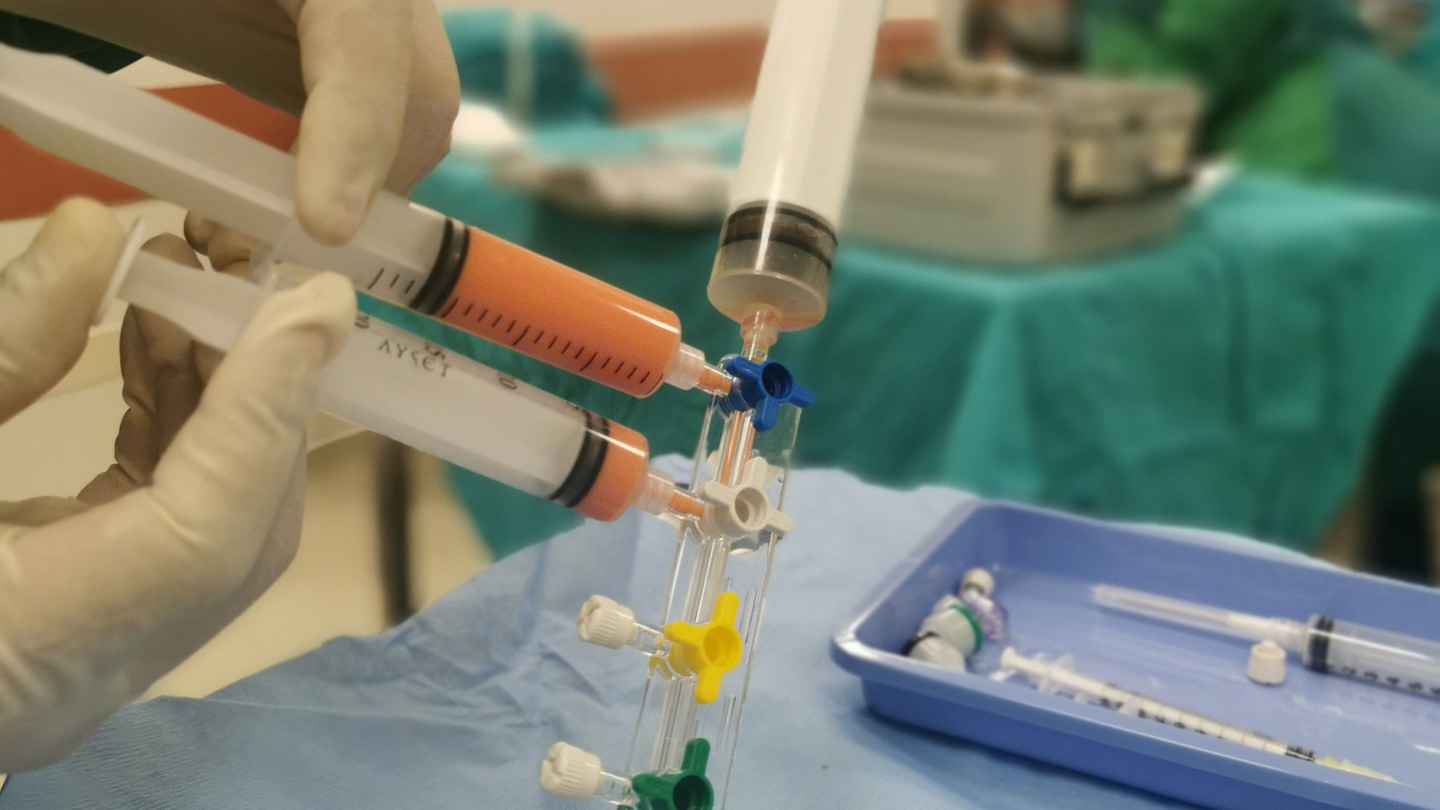 Stem Cell 5773274 1920 61701a28ee446