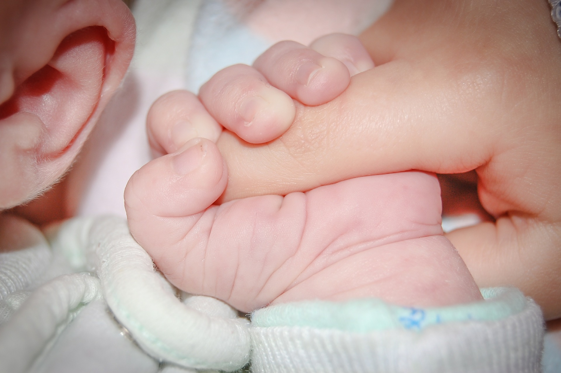 Baby Hold Hand 428395 1920 Image By Michal Jarmoluk From Pixabay 615aff0960a66