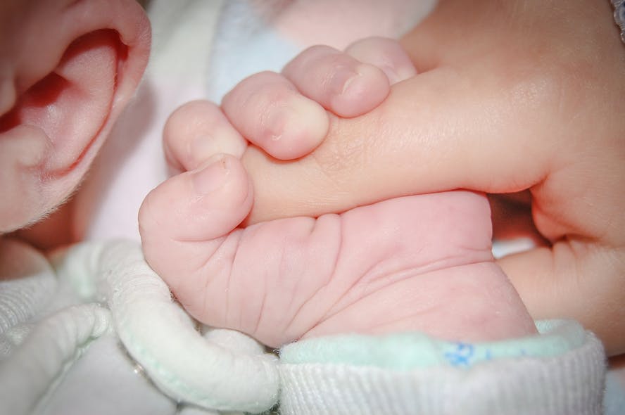 Baby Hold Hand 428395 1920 Image By Michal Jarmoluk From Pixabay