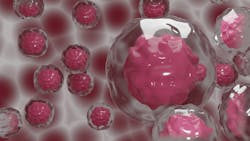 Cells Image By Doodlartdotcom From Pixabay 6171667260272 Cells Image By Doodlartdotcom From Pixabay 6171667260272