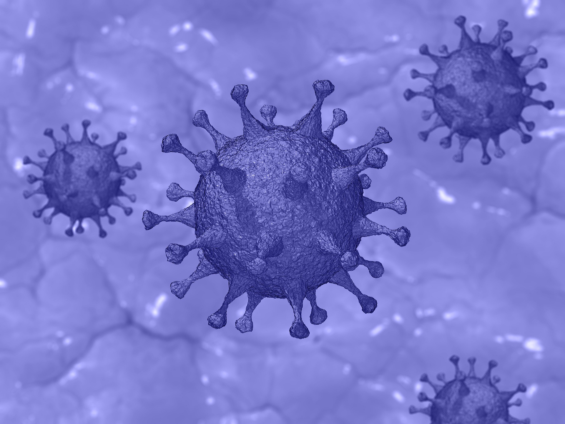 Covid Purple Virus Image By Pete Linforth From Pixabay 615db5238b2bb