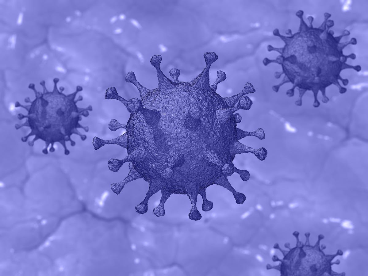 Covid Purple Virus Image By Pete Linforth From Pixabay