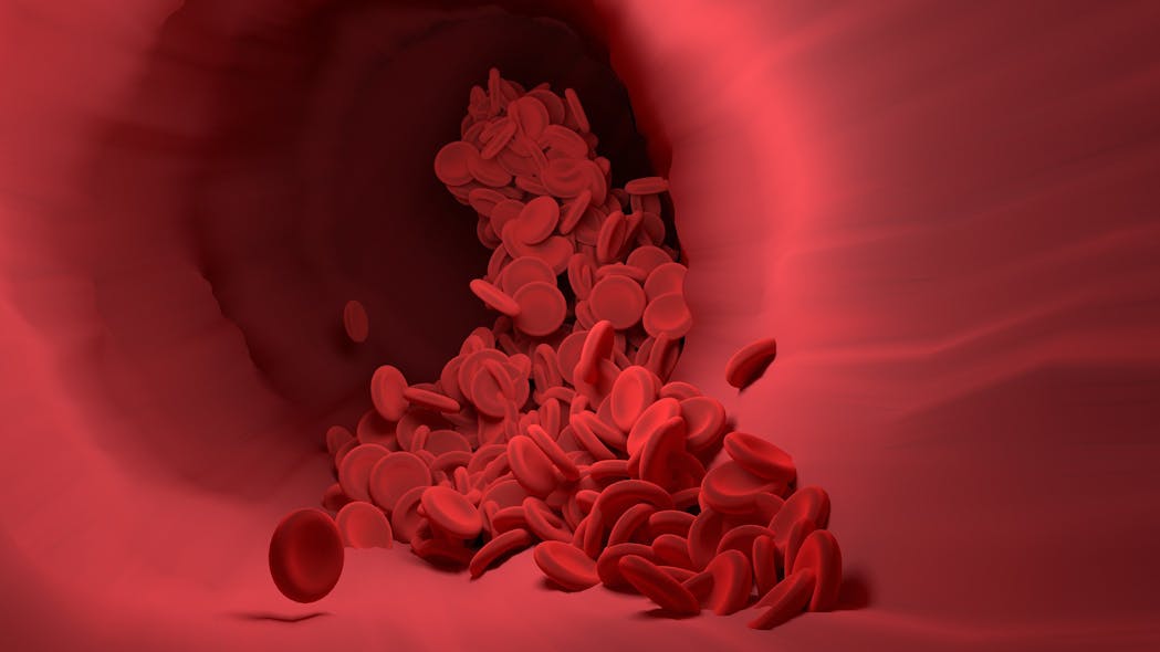 Red Blood Cell 4256710 1920 Image By Narupon Promvichai From Pixabay
