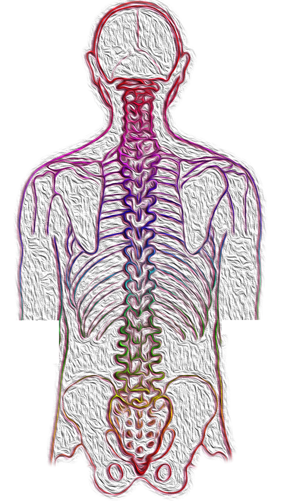 Spine 4052599 1920 Image By Vs Rao From Pixabay 617167be10dae