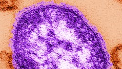 10707 618d2dc83c868 10707 618d2dc83c868