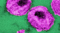 10860 619bb164bcc18 10860 619bb164bcc18