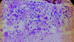 22070 2 618bdcbbbd234 22070 2 618bdcbbbd234