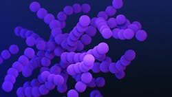 23246 618531905336f 23246 618531905336f