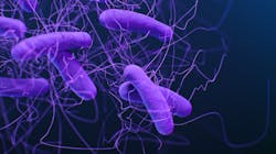 23247 1 618137776e48d 23247 1 618137776e48d