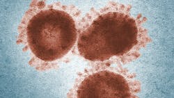 Pexels Cdc 3992945 618d233ec3dd3 Pexels Cdc 3992945 618d233ec3dd3