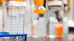 Pexels Martin Lopez 954585 61951025d1bbc Pexels Martin Lopez 954585 61951025d1bbc