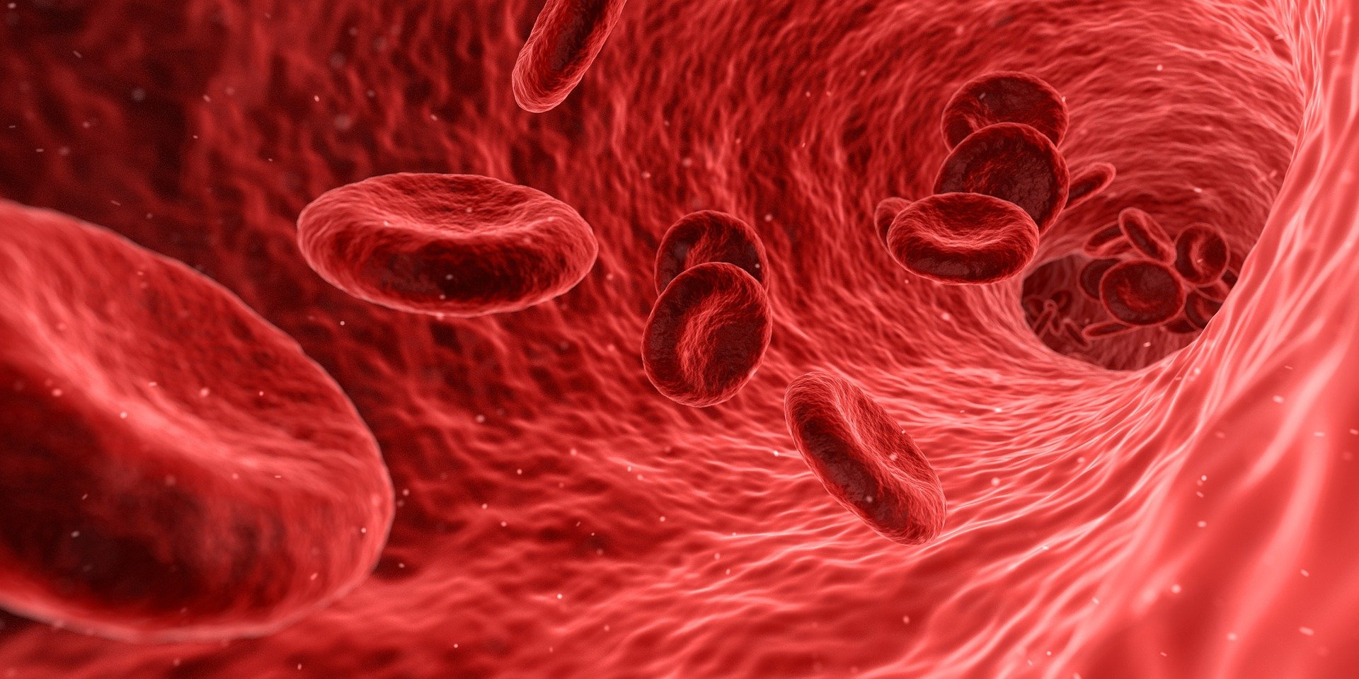 Blood G8c355cf44 1920 619e81c9a1e41