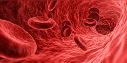 Blood G8c355cf44 1920 619e81c9a1e41