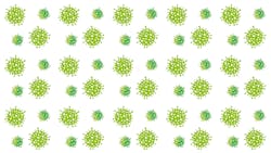 Virus G7083c5b3a 1920 61ba1b5862fc4 Virus G7083c5b3a 1920 61ba1b5862fc4