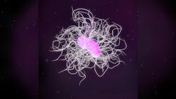 Adobe Stock 260659284 61c23c15eb081 Adobe Stock 260659284 61c23c15eb081