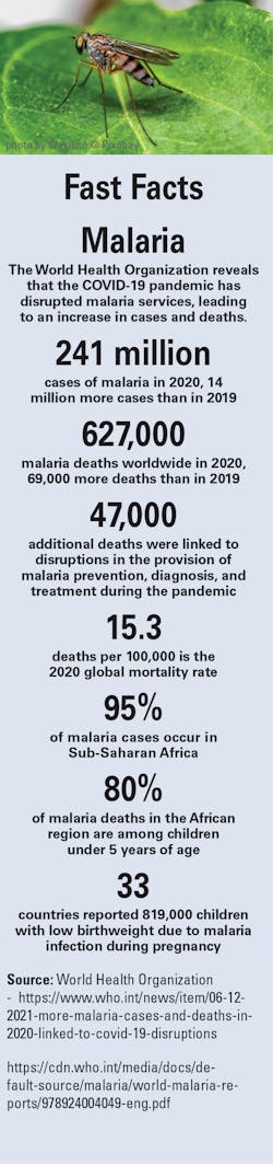 Mlo202201 Ff Mlo202201 Ff