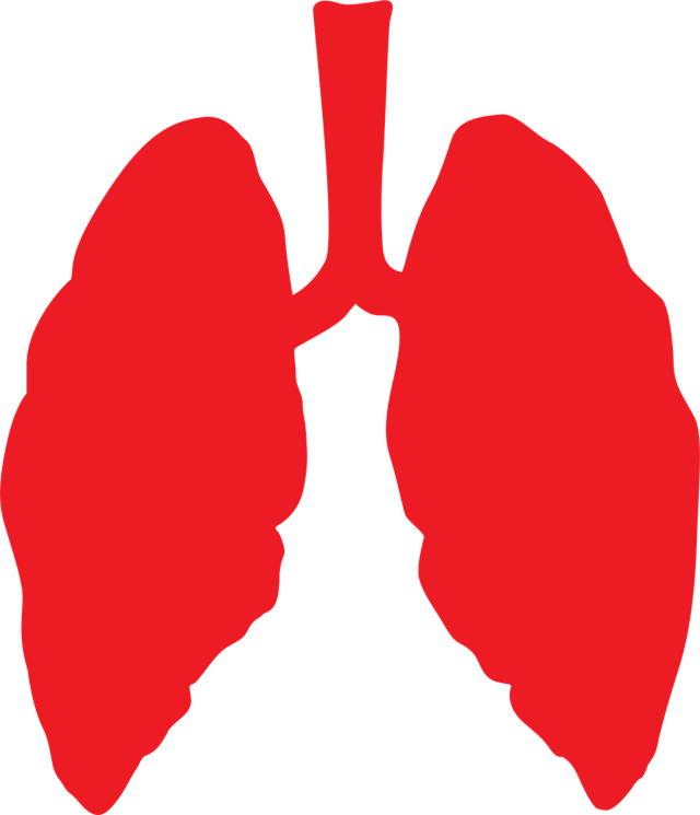 Pixabay Lungs G06a8aa248 1280