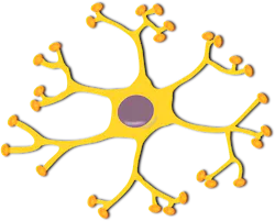 Pixabay Nerve Cell Gb5996fadb 1280 61f15d3ef08d3