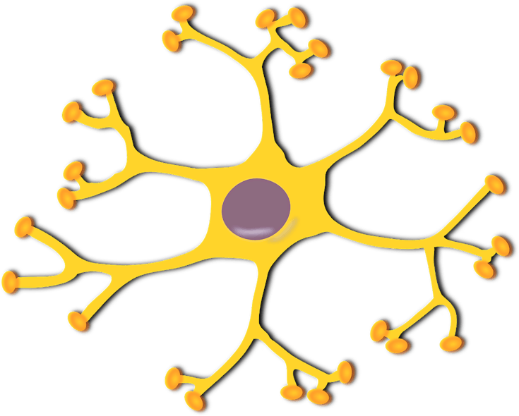 Pixabay Nerve Cell Gb5996fadb 1280