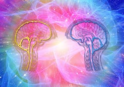 Pixabay Brain 4372151 1280 61e03e4cde6d4 Pixabay Brain 4372151 1280 61e03e4cde6d4