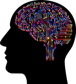 Pixabay Brain 4863428 1280