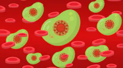 Pixabay Covid Antibodies In Blood G8242df241 1280