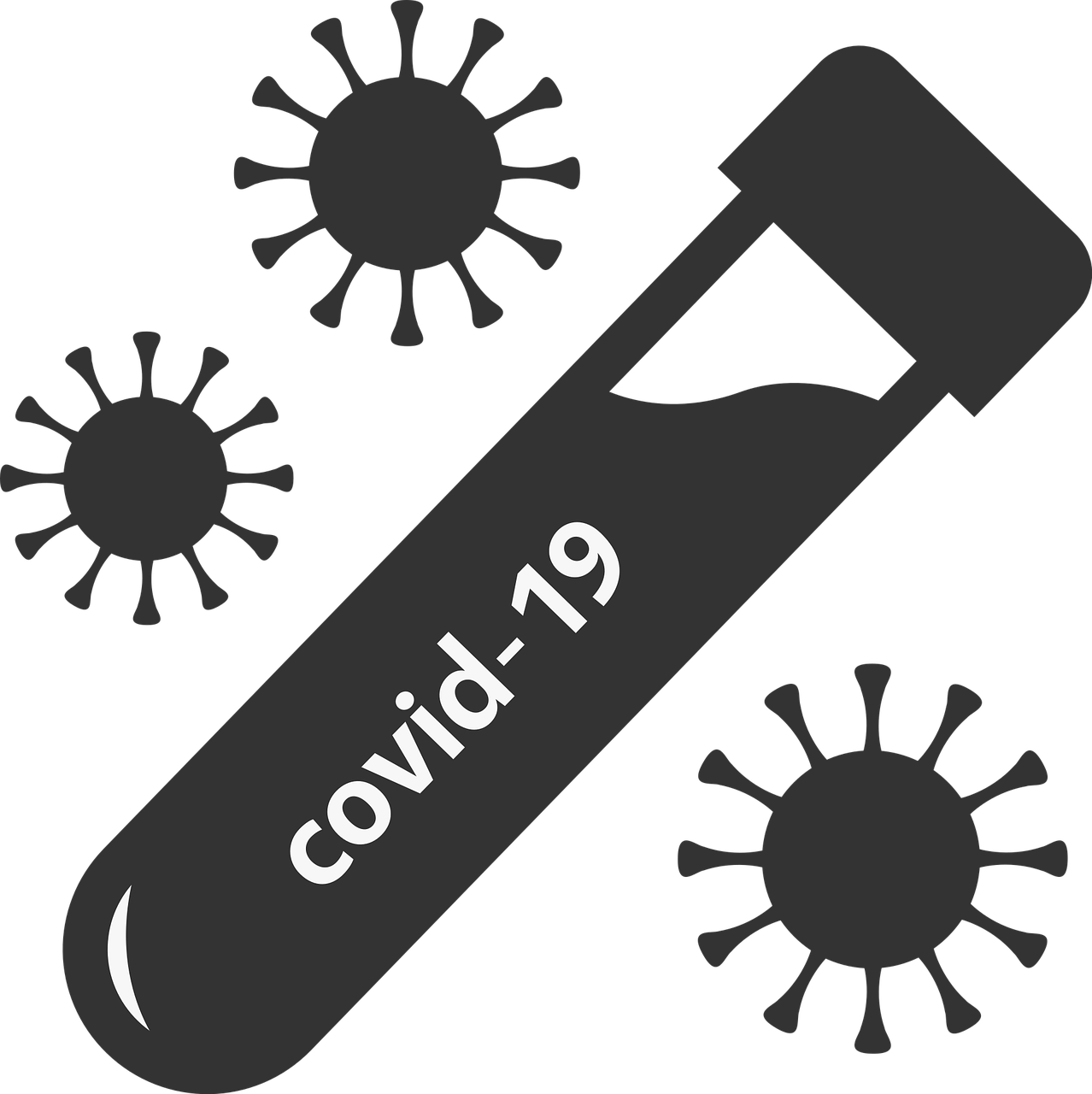 Pixabay Covid Test Coronavirus 6752363 1280 61dc3f2693f77