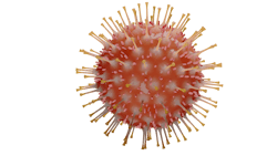 Pixabay Covid Virus 4930122 1280 61e085ec896a7 Pixabay Covid Virus 4930122 1280 61e085ec896a7