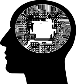 Pixabay Cranium 2099119 1280 61e6d8451ecaf Pixabay Cranium 2099119 1280 61e6d8451ecaf