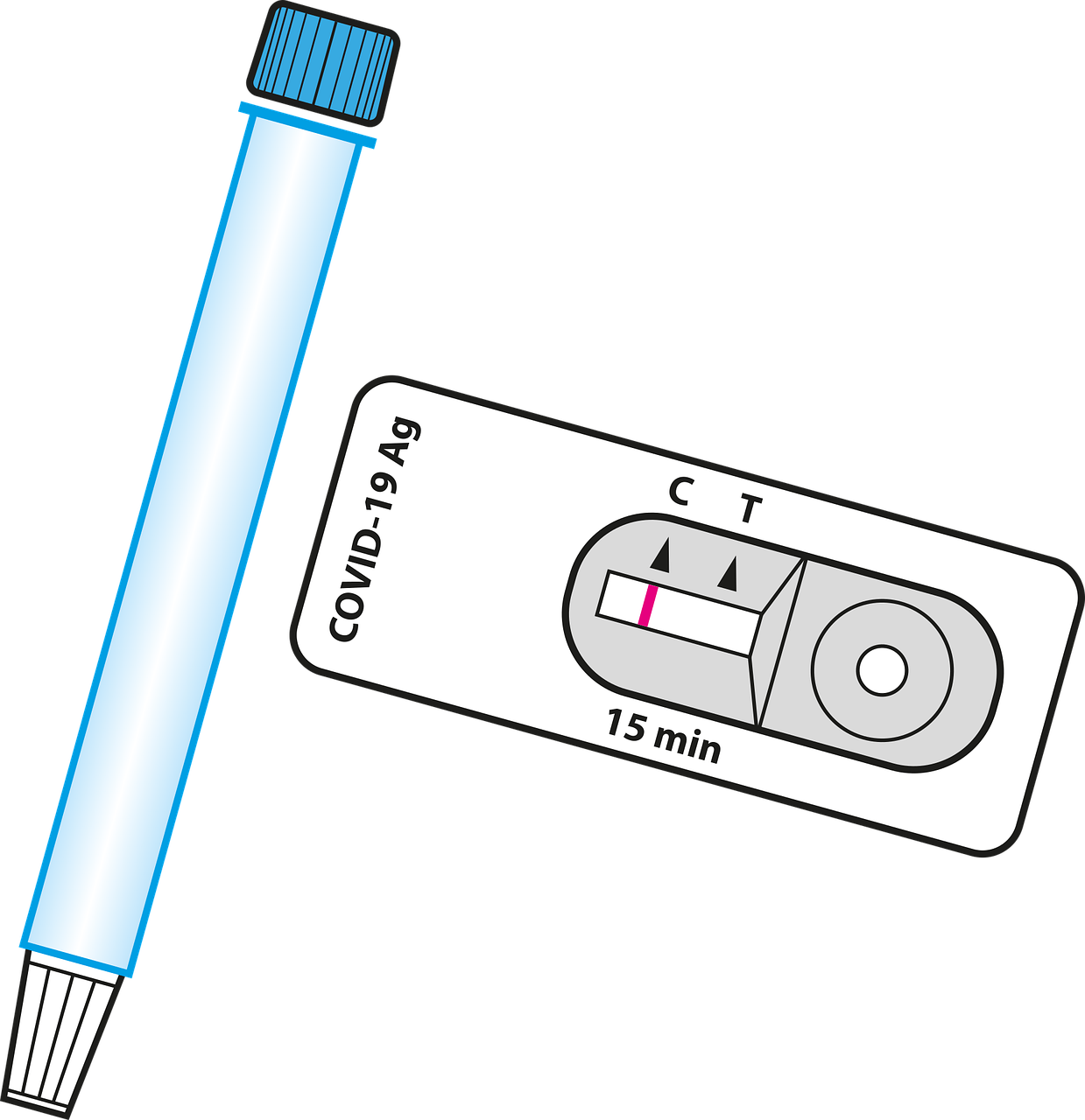 Pixabay Quick Test 6786337 1280 61d84e69bc1ba