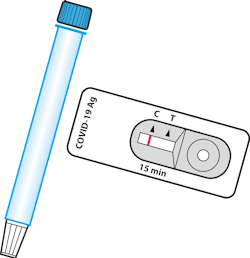 Pixabay Quick Test 6786337 1280 61d84e69bc1ba Pixabay Quick Test 6786337 1280 61d84e69bc1ba