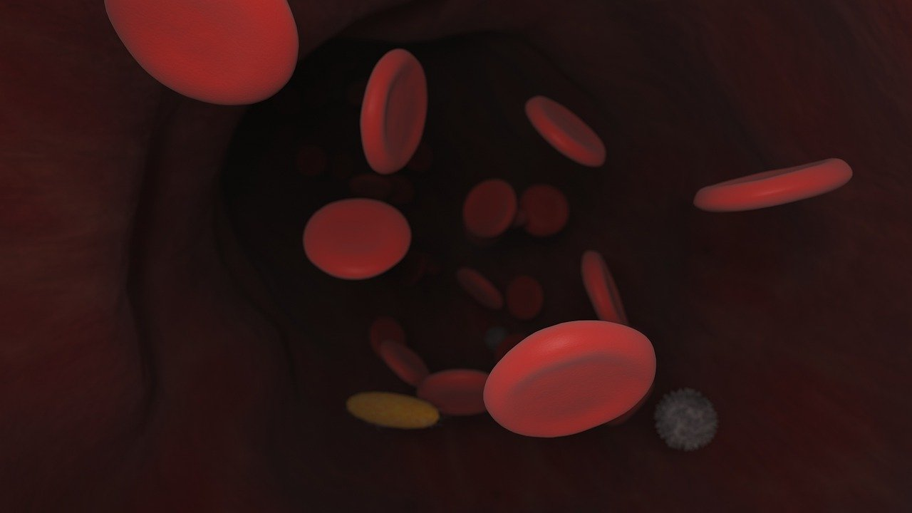 Pixabay White Blood Gdfd380b81 1280 61eacb855a3e4