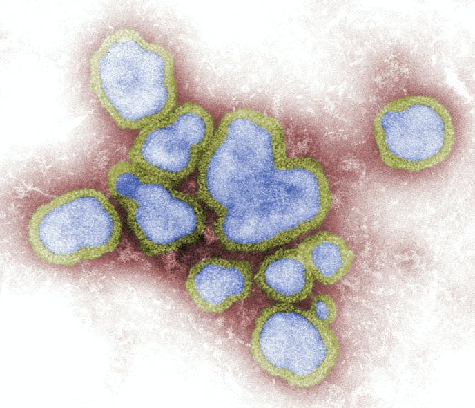 Unsplash Flu Virus Cdc Vyu Nnjc Hy Nw Unsplash (1)