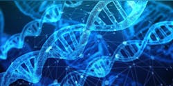Dna G7e685d9d5 1920 620684b34d032 Dna G7e685d9d5 1920 620684b34d032