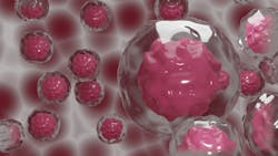 Pixabay Cells Stem Gd546f8e74 1280 620d1371d9cf2 Pixabay Cells Stem Gd546f8e74 1280 620d1371d9cf2