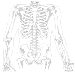 Pixabay Skeleton G8592d897d 1280 6213abf3217ba Pixabay Skeleton G8592d897d 1280 6213abf3217ba