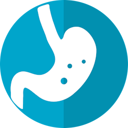 Pixabay Stomach Icon Ge07a44096 1280 620d0e482b4d9 Pixabay Stomach Icon Ge07a44096 1280 620d0e482b4d9