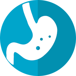 Pixabay Stomach Icon Ge07a44096 1280