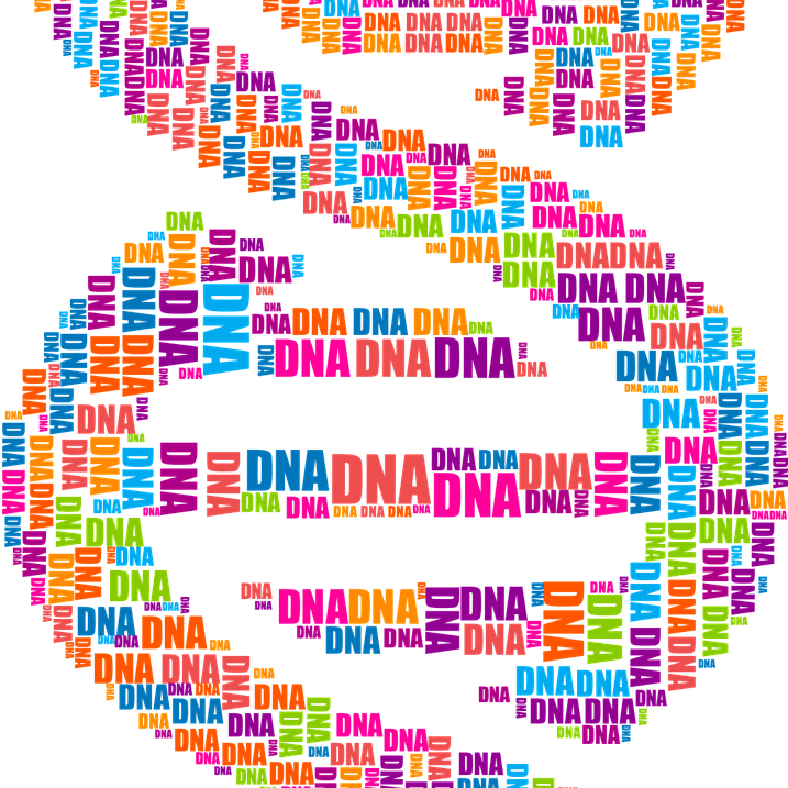 Pixabay Dna G6e2c4dd1c 1280 622b66d47fe27