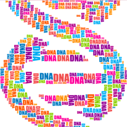 Pixabay Dna G6e2c4dd1c 1280 622b66d47fe27 Pixabay Dna G6e2c4dd1c 1280 622b66d47fe27